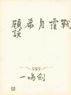 顾希月霍战霆小说