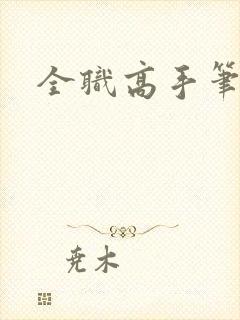 全职高手笔趣阁