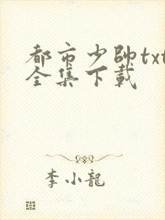 都市少帅txt全集下载