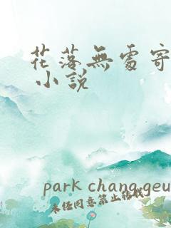 花落无处寄相思 小说