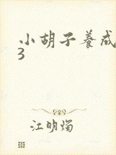 小胡子养成计划3