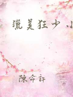 猎美狂少 小说