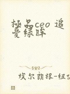 极品ceo 追爱绿眸