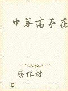 中华高手在异世