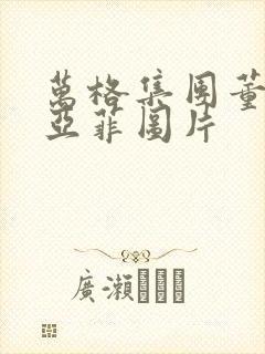 万格集团董事李亚菲图片