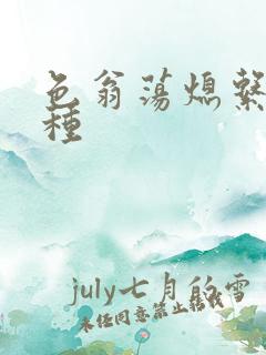 色翁荡熄系列借种