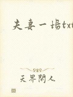 夫妻一场txt