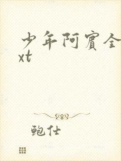 少年阿宾全集txt