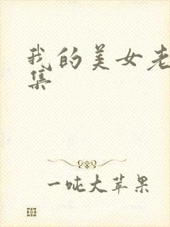 我的美女老总续集