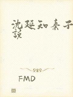 沈延知秦子卿小说