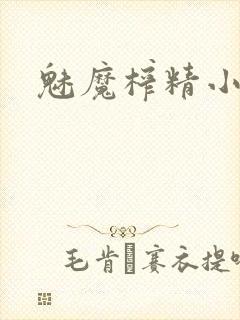 魅魔榨精小说