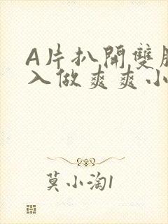 A片扒开双腿进入做爽爽小说