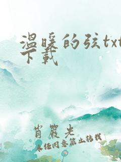 温暖的弦txt下载