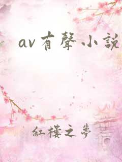 av有声小说