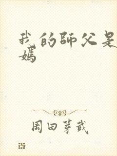 我的师父是王语嫣