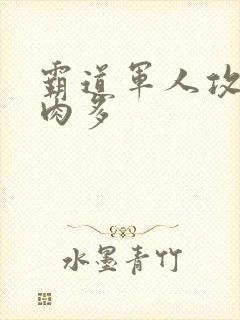 霸道军人攻现代肉多