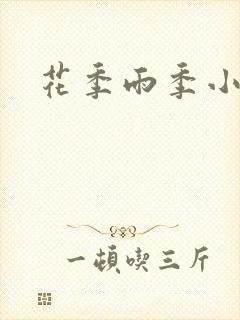 花季雨季小说