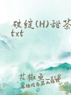 破绽(H)甜茶txt