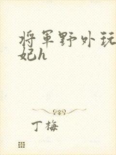 将军野外玩弄贵妃h