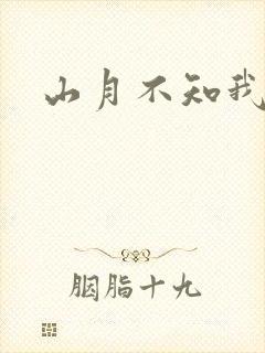 山月不知我心事