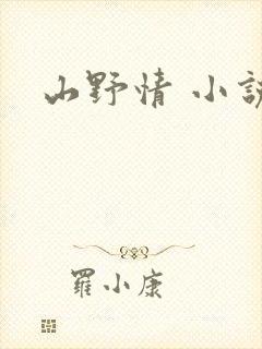 山野情 小说