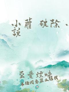 小萝 破除 小说