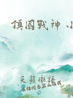 镇国战神 小说
