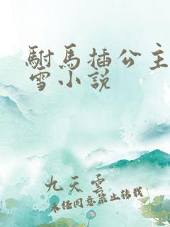 驸马插公主恋战雪小说