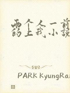 两个人一前一后的上我小说