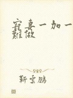 宠妻一加一老婆难做