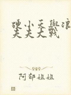 硬小天与浪小辉夫夫大战