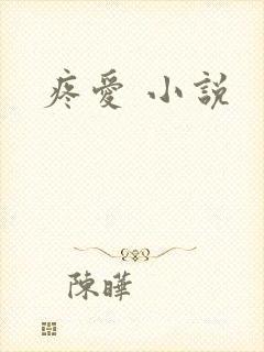 疼爱 小说