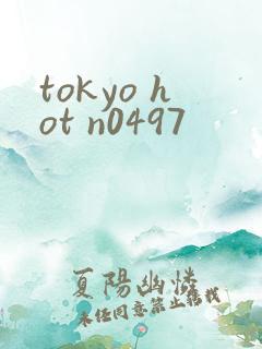tokyo hot n0497