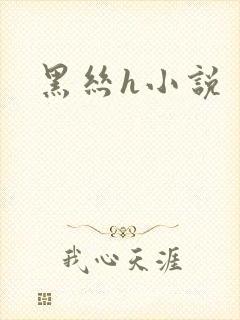 黑丝h小说