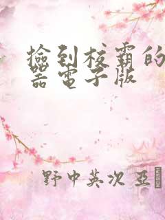 捡到校霸的遥控器电子版