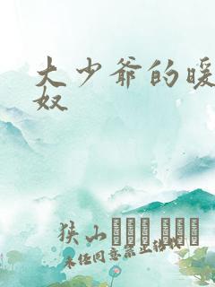 大少爷的暖床小奴