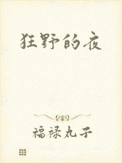 狂野的夜