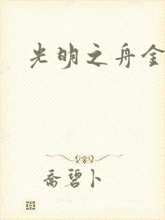 光明之舟金手指