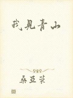 我见青山