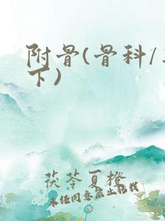 附骨(骨科/年下)