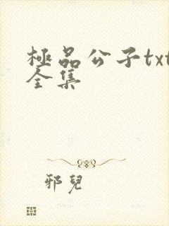极品公子txt全集