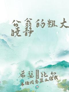 公翁的粗大放进晓静