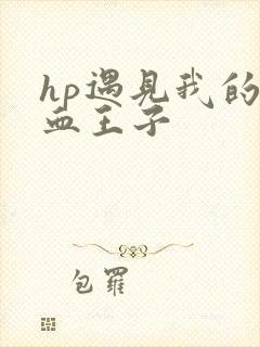 hp遇见我的混血王子