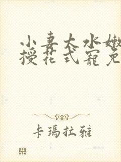 小妻太水嫩陆教授花式宠免费阅读视频