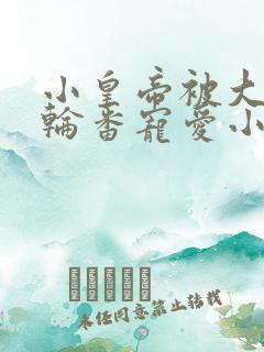 小皇帝被大臣们轮番宠爱小说