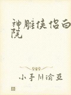 神雕侠侣白鹿书院