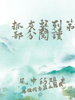 抓灰系列第33部分阅读