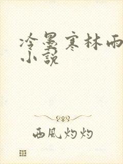 冷墨寒林雨彤的小说