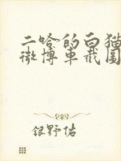 二哈的白猫师尊微博车截图