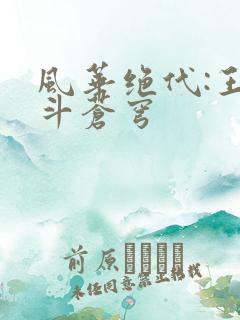 风华绝代:王妃斗苍穹